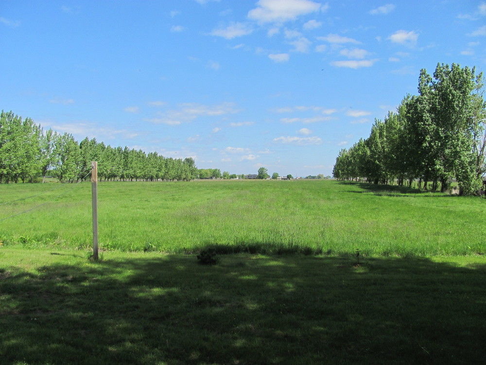 Countryside Bed & Breakfast Niagara-on-the-Lake Esterno foto